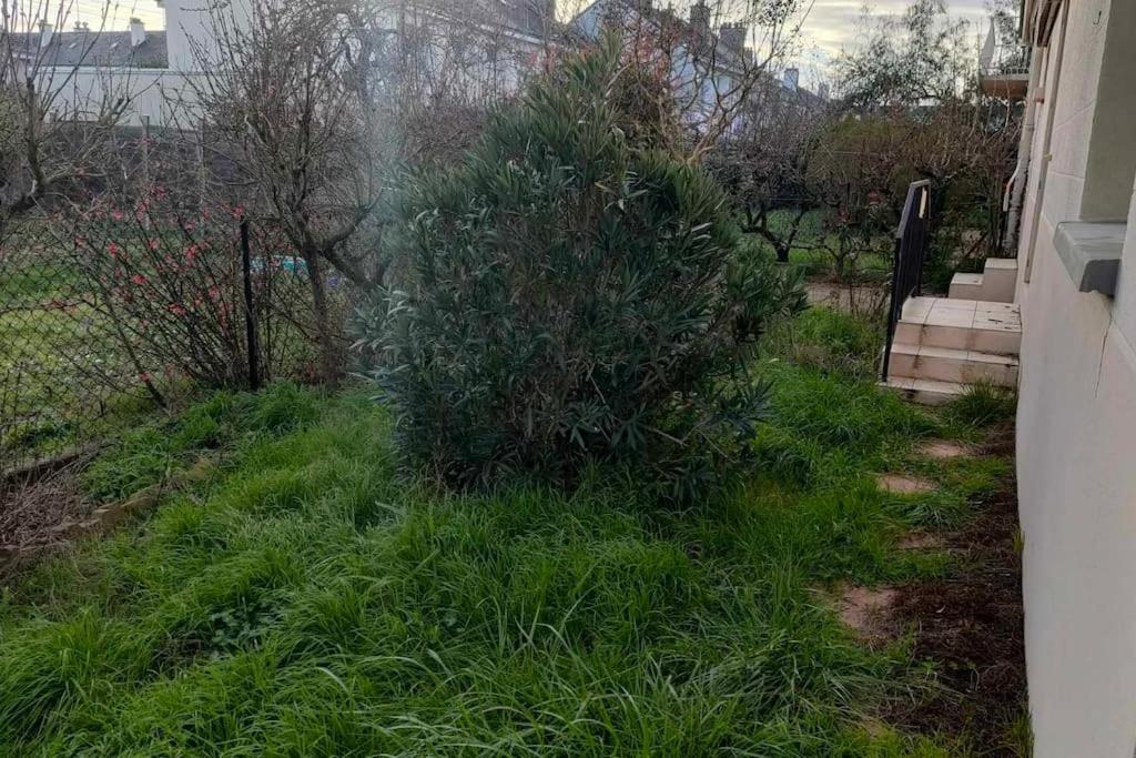 Appartement Cosy 2 Chambres Avec Jardin Les Ponts-de-Cé Exterior photo